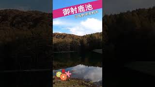 御射鹿池（長野県茅野市）2022 autumn short travel [upl. by Rehtaeh675]