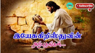 The Miracles of Jesus Christ in Tamil  Story of Jesus Christ in Tamil  Tamil Bible Stories  TBStv [upl. by Ilohcin]