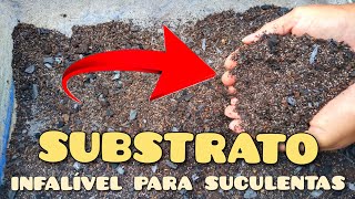 SUBSTRATO MUITO BOM E MUITO BARATO PARA SUCULENTAS  BEM SOLTINHO 😱😱🌼  Jardim de Suculentas [upl. by Htebsle]