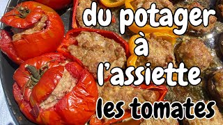 Meilleur tomates farcies la recette de ma grand mère [upl. by Liris430]