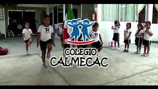 COLEGIO CALMECAC [upl. by Ahsekyw841]