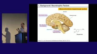 Ignacio Carrera Ibogaine amp Neurotrophic Factors GDNF BDNF and NGF Releasing Properties [upl. by Richman246]