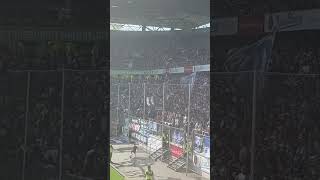 Kohorte Ultras beim Niederrheinpokal MSV Duisburg vs Hamborn 07 07092024 [upl. by Engdahl]