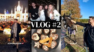 Nedeljni vlog  Kopenhagen 🇩🇰  Lov na jelene 🦌  svedski bioskop  Dubai čokolada… [upl. by Phemia993]