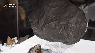 Didžiausia Baltijos šalyse meteoritų kolekcija [upl. by Lecram150]