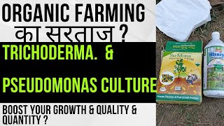 Trichoderma amp Psudomonas बगवानी में एक अद्भूत Solution केसे बनायें व यूज़ करेGo Organic [upl. by Enelegna]