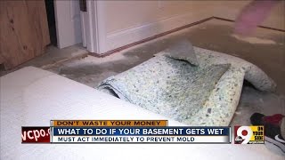 Dont Waste Your Money What to do if your basement floods [upl. by Sivet]