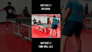 Butterfly Viscaria Vs Butterfly Timo Boll ALC 🏓❤️🏓 [upl. by Mihalco]