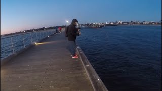 BIG SALMON MORDIALLOC PIER FISHING SPOT VICTORIA [upl. by Seavey]