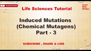 DNA Intercalating agents  Induced Mutations  Chemical Mutagens  Genetics  Part  3 [upl. by Willms934]