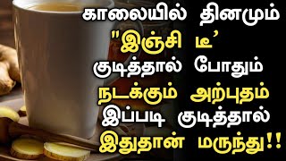 quotஇஞ்சி டீquot குடித்தால் நடக்கும் மருத்துவ அற்புதம்  Ginger Tea Benefits in Tamil  Health Tips Tamil [upl. by Anaili999]