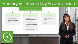 Primary vs Secondary Hypertension – Nephrology  Lecturio [upl. by Elna600]