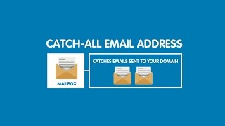 What is a catchall email account and how to set one up  123reg [upl. by Portland986]