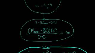 Michaelis Menten Equation Derivation [upl. by Barna]