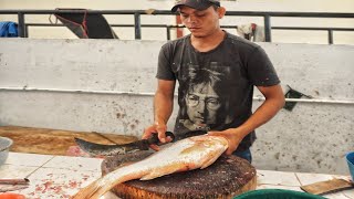 BIG LUTJANUS RIVULATUS FISH Lutjanidae BY EXPERT FISH CUTTER  FISHERMAN CUTTING [upl. by Marlon]