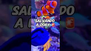 Salvando a Dory 🐠🚨 [upl. by Cassaundra556]