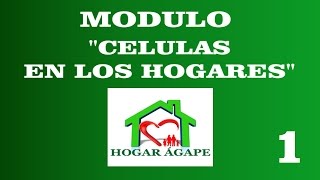 MODULO quotCELULAS EN LOS HOGARESquot CLASE 1 LA VISION [upl. by Enilegnave]