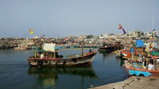 Mangrol port  Mangrol bara  fishing boat  માંગરોળ બંદર  mangrol fishing boat [upl. by Jack524]