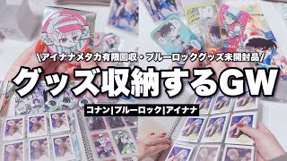 【収納】グッズ収納🌷特に予定がないからグッズ収納するGW〜アイナナメタカ22大量回収やブルーロックの缶バッジなど〜 グッズ収納 オタクのグッズ収納 [upl. by Islek]