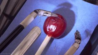 da Vinci Robot Stitches a Grape Back Together [upl. by Hiram86]