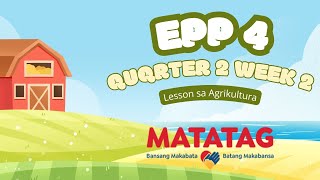 GRADE 4 MATATAG EPPICT QUARTER 2 WEEK 2 [upl. by Nnylesor]