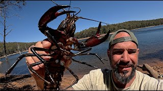 Marron fishing Trekking from the beach to the river to catch some Marron catch and cook [upl. by Notnarb]