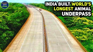 Indias 1st amp World’s LONGEST Animal UNDERPASS on HIGHWAY in Pench National Park  NH44 Highway [upl. by Romonda]