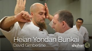 Heian Yondan  Pinan Yondan Bunkai Oyo Kata for Self Defense Applications [upl. by Nancie]