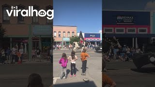 Huge Steer Walks in Rodeo Parade  ViralHog [upl. by Werner]