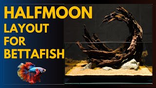 Betta Fish Tank Set Up Halfmoon Layout Aquarium l Easy Live Plant [upl. by Einaej]