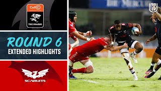 Cell C Sharks v Scarlets  Match Highlights  Round 6  United Rugby Championship [upl. by Nnylannej]