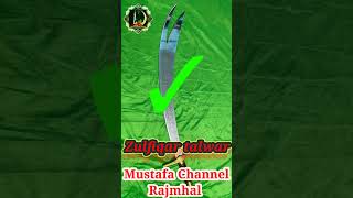 Zulfiqar talwar status  Zulfiqar talwar shorts video  zulfiqar shorts video  viral shortvideo [upl. by Acenes65]