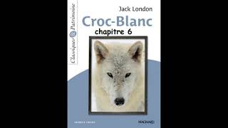 Chapitre 6  Croc Blanc de Jack London  version abrégée [upl. by Robinia]