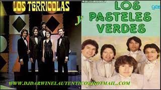 LOS TERRICOLAS Y LOS PASTELES VERDES MIX [upl. by Adli600]