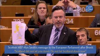 Scottish MEP Alyn Smiths message to EU Parliament after Brexit [upl. by Freed]