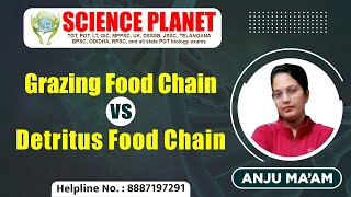 Grazing Food Chain Vs Detritus Food Chain by Anju Mam on Science Planet [upl. by Panaggio386]