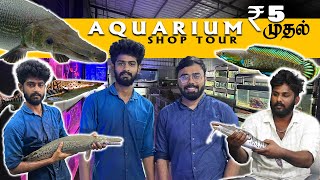 ₹5 முதல் Cheapest Coimbatore Aquarium Pet Shop  Rare Exotic Monster Fish  Aquarium Shop Tour [upl. by Orazio]