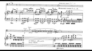 Nikolai RimskyKorsakov  Paraphrase on Scheherazade for Bassoon and Piano 1888 ScoreVideo [upl. by Norwood410]