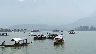 25624dal lake Srinagar Kashmir [upl. by Enyrhtak]