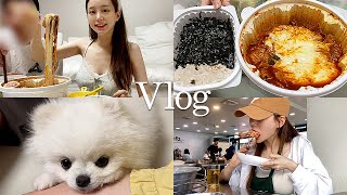 일상 vlog  엽기 떡볶이와 삼겹살 쿨타임  닭한마리  무생채비빔밥  브루노마스 내한 공연🔥 테라스의 계절  또 만취ㅎ [upl. by Airetak]