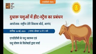 NDDB Samvad  Heat Stress Management Hindi  हिन्दी भाषा में [upl. by Aidul]