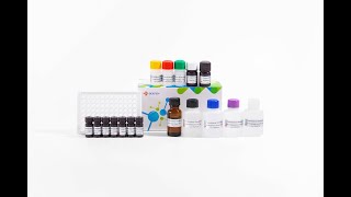 YR2SC0106 Furazolidone Metabolite AOZ ELISA Test Kit [upl. by Debbee]