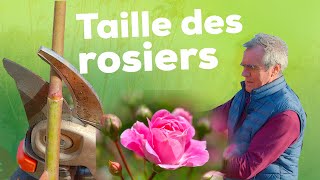 La taille des rosiers  Pourquoi quand et surtout comment  Tout savoir [upl. by Phillipe]