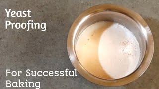 Yeast Proofing  Detailed Video About Successful Yeast Proofing  Moms Blessings [upl. by Essirahs817]