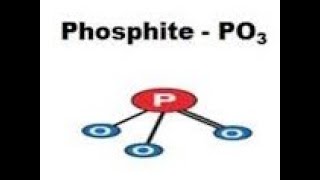 Phosphites How to Maximize Disease Control [upl. by Eiblehs731]