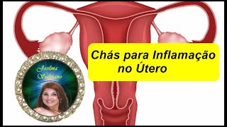 Chás para Inflamação no Útero  METRITE [upl. by Lucretia632]