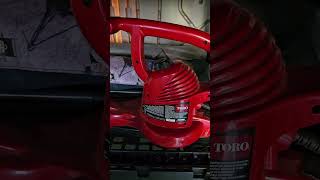 REVIEW Toro 51621 UltraPlus Leaf Blower Vacuum VariableSpeed up to 250 mph with Metal Impeller [upl. by Nesto]