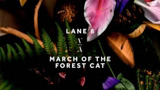 Lane 8  March of the Forest Cat [upl. by Edny]