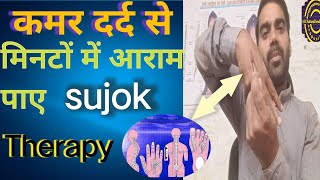 back pain treatment in sujok therapy  कमर दर्द का इलाज [upl. by Aneerak]