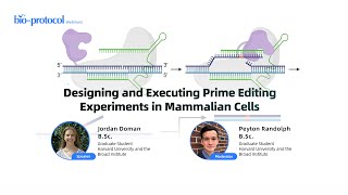 Designing and Executing Prime Editing Experiments in Mammalian Cells [upl. by Roosevelt]